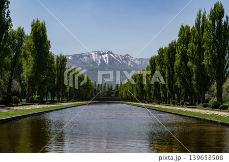 前田森林公園の春 139658508