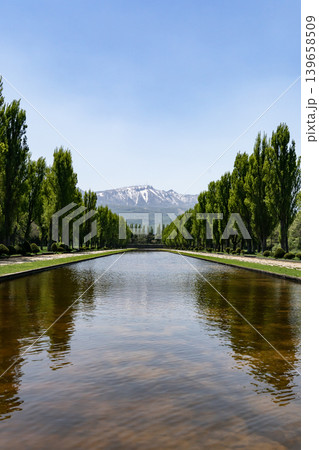 前田森林公園の春 139658509