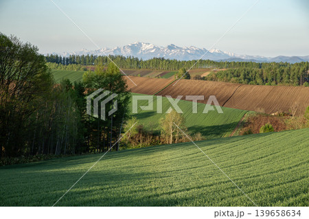 早春の大地 139658634