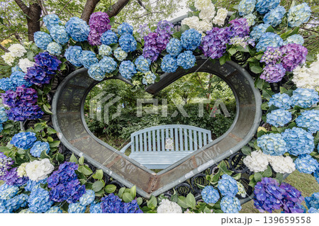 紫にけむり青にけむり赤にけむる、雨が似合いの小さな花の集まりが、大輪の花になる 紫にけむり青にけむり赤にけむる、雨が似合いの小さな花の集まりが、大輪の花になる 139659558