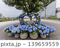 紫にけむり青にけむり赤にけむる、雨が似合いの小さな花の集まりが、大輪の花になる 139659559