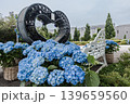 紫にけむり青にけむり赤にけむる、雨が似合いの小さな花の集まりが、大輪の花になる 139659560