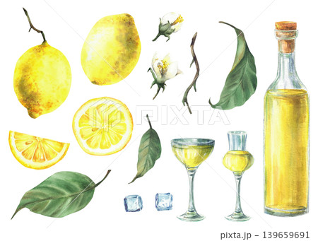 Watercolor lemon and limoncello set. Yellow liqueur, drink glass, ice cubes and whole, cut and slices fruit with leaves and flowers. Italian beverage components Isolated on white painted illustration. Watercolor lemon and limoncello set. Yellow liqueur, drink glass, ice cubes and whole, cut and slices fruit with leaves and flowers. Italian beverage components Isolated on white painted illustration. 139659691