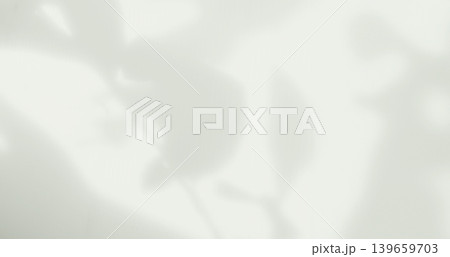 Green Beige Shadow Abstract Background Overlay Leaf Natural blur Cement Wall Floor Mockup Product Cosmetic Summer Tropical Nature Presentation Frame Template Eco Backdrop Environment Platform. 139659703