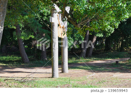 天橋立神社（橋立明神）阿蘇海に面して建つ鳥居（京都府宮津市） 139659943