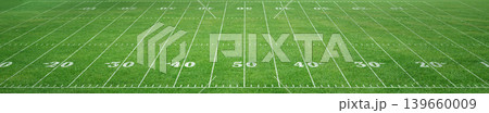 American football field American football field 139660009