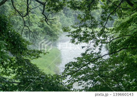 白馬大出公園の姫川の流れ 白馬大出公園の姫川の流れ 139660143