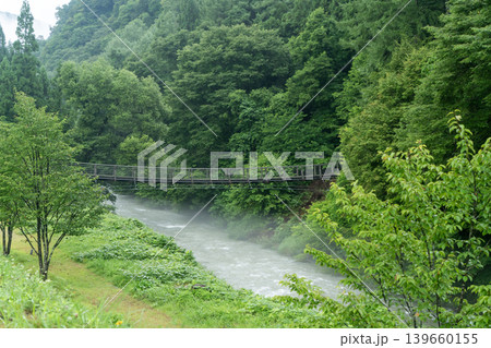 白馬大出公園の押込吊り橋 白馬大出公園の押込吊り橋 139660155