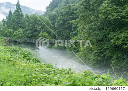 白馬大出公園の押込吊り橋 白馬大出公園の押込吊り橋 139660157