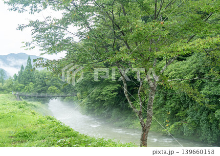 白馬大出公園の押込吊り橋 白馬大出公園の押込吊り橋 139660158