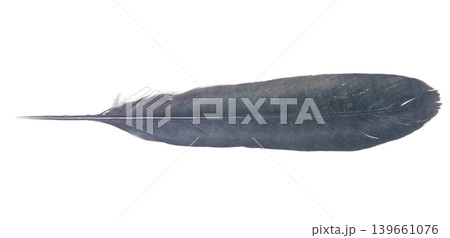 Old Worn Black Feather Isolated on a White Background Old Worn Black Feather Isolated on a White Background 139661076