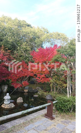 日本庭園の池と紅葉 日本庭園の池と紅葉 139661217