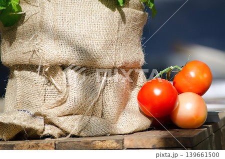 Fresh vegetables and tomatoes on a wooden tray 139661500