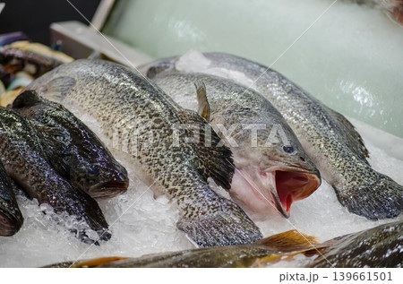 Fresh whole fish on ice at a seafood market display Fresh whole fish on ice at a seafood market display 139661501