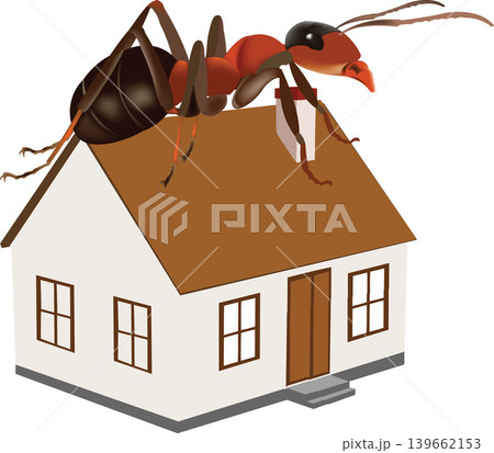 red ants on the house extermination red ants on the house extermination 139662153