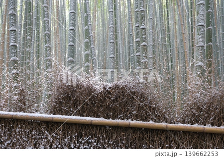 雪の竹の小径と竹垣穂 雪の竹の小径と竹垣穂 139662253