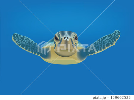 sea turtle aquatic animal- sea turtle aquatic animal- 139662523