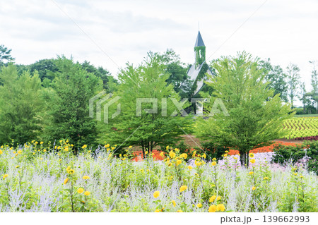 教会と花畑のある風景 139662993