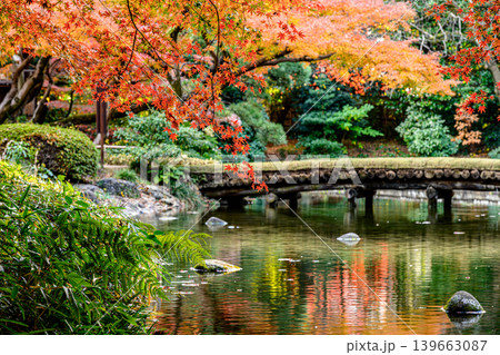 紅葉(小石川後楽園) 紅葉(小石川後楽園) 139663087