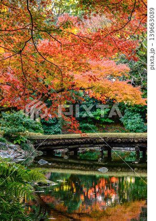 紅葉（小石川後楽園） 139663089