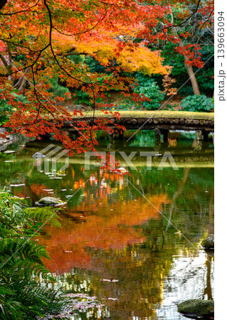 紅葉（小石川後楽園） 139663094