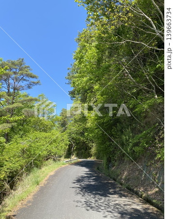 青空と緑に囲まれた日本の森林道路風景 青空と緑に囲まれた日本の森林道路風景 139663734