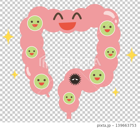 Large intestine with a predominance of beneficial bacteria 139663753