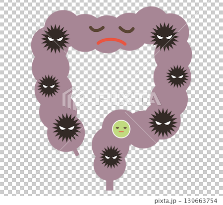 Large intestine dominated by harmful bacteria Large intestine dominated by harmful bacteria 139663754
