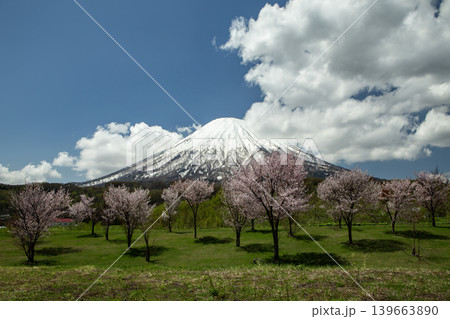 早春の羊蹄山 139663890