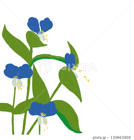 花のイラスト　ツユクサ 139663908