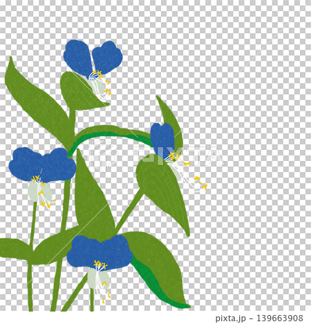 花のイラスト　ツユクサ 139663908