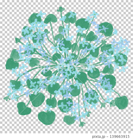 Flower illustration: Ionopsidium 139663915