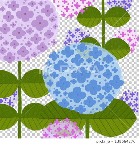 花卉插圖:繡球花 花卉插圖:繡球花 139664276