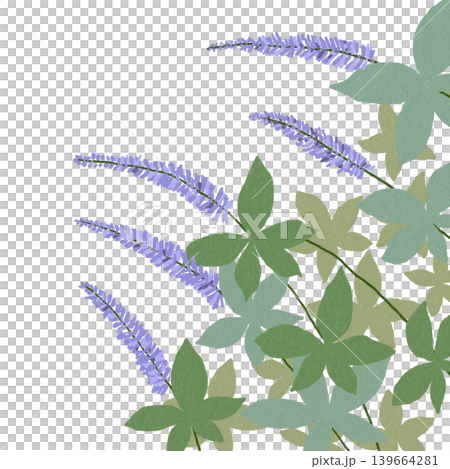 Flower illustration: Veronicastrum Flower illustration: Veronicastrum 139664281