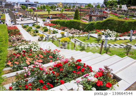 薔薇満開の荒牧バラ公園 薔薇満開の荒牧バラ公園 139664544