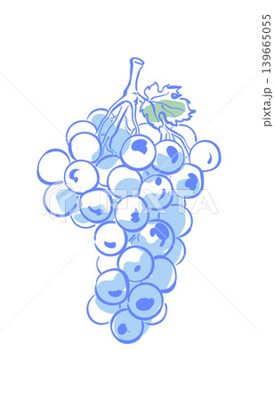 Vintage grape sketch with soft blue color. Whimsical wine fruit doodle as simple mediterranean symbol. Classic italy food motif suits sicily picnic menu art and wine restaurant card with light retro Vintage grape sketch with soft blue color. Whimsical wine fruit doodle as simple mediterranean symbol. Classic italy food motif suits sicily picnic menu art and wine restaurant card with light retro 139665055