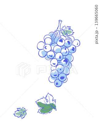 Whimsical blue grape ink line art on white. Wine fruit cluster appears as cute food symbol and playful drink icon. Minimalist outline suits party or wedding invitation and restaurant menu card with Whimsical blue grape ink line art on white. Wine fruit cluster appears as cute food symbol and playful drink icon. Minimalist outline suits party or wedding invitation and restaurant menu card with 139665060
