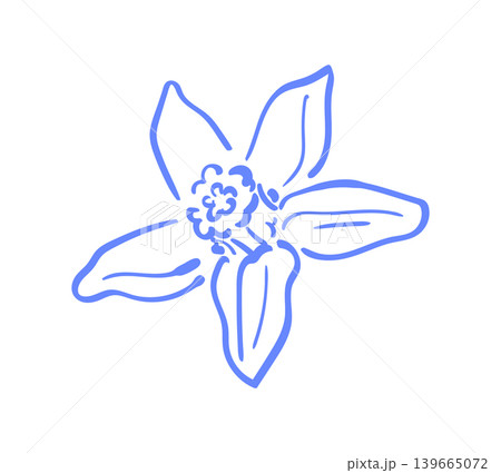 Cute vanilla flower in hand drawn minimalist style. Whimsical floral icon as soft blue line doodle. Simple flower element as calm background for cafe menu, wedding card or cozy social media stories Cute vanilla flower in hand drawn minimalist style. Whimsical floral icon as soft blue line doodle. Simple flower element as calm background for cafe menu, wedding card or cozy social media stories 139665072