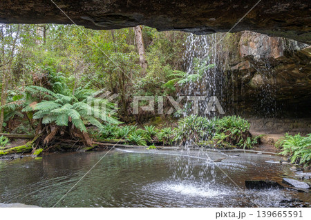 Kalimna Falls along Cumberland River trek, Great Ocean Road, Australia 139665591