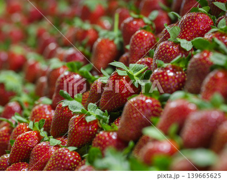 healthy strawberries at the market healthy strawberries at the market 139665625