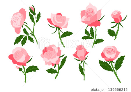 Collection of pink roses in various stages of bloom with green leaves, arranged in a visually appealing layout on a white background Collection of pink roses in various stages of bloom with green leaves, arranged in a visually appealing layout on a white background 139666213