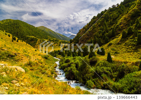 Scenic Mountain Valley with Winding River and Evergreen Trees in Kyrgyzstan Scenic Mountain Valley with Winding River and Evergreen Trees in Kyrgyzstan 139666443
