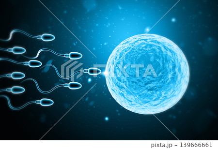 Microscopic view of Sperm and egg cell Microscopic view of Sperm and egg cell 139666661