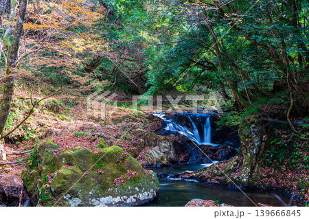 【日本の滝百選】龍頭・八重滝 晩秋の八重滝 紅葉滝1 島根県雲南市 【日本の滝百選】龍頭・八重滝 晩秋の八重滝 紅葉滝1 島根県雲南市 139666845