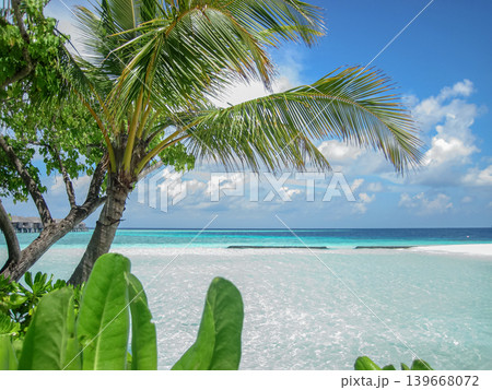 Panorama of Tropical beach with Coconut palm trees and water villas. Tropical landscape of summer scenery, white sand with palm trees. Luxury travel vacation destination. Exotic beach landscape. 139668072