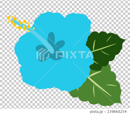一幅簡潔的淺藍色芙蓉花插圖。 139668254
