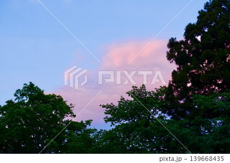 森の中で見た夕焼けの空 森の中で見た夕焼けの空 139668435