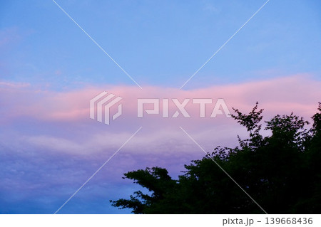 夕焼け空と木のシルエット 夕焼け空と木のシルエット 139668436
