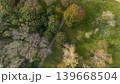Top-down aerial view of a forest in early spring. Mixed trees with green and yellow leaves flanking a narrow dirt road. Natural woodland mosaic pattern. 139668504