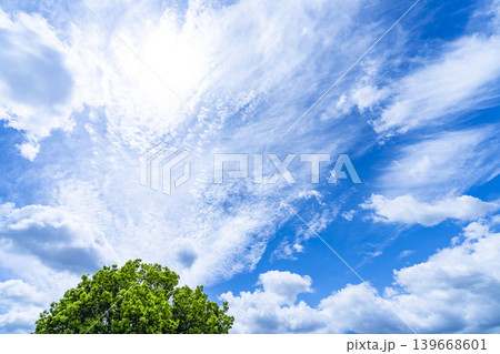 春の青空と雲と新緑 139668601